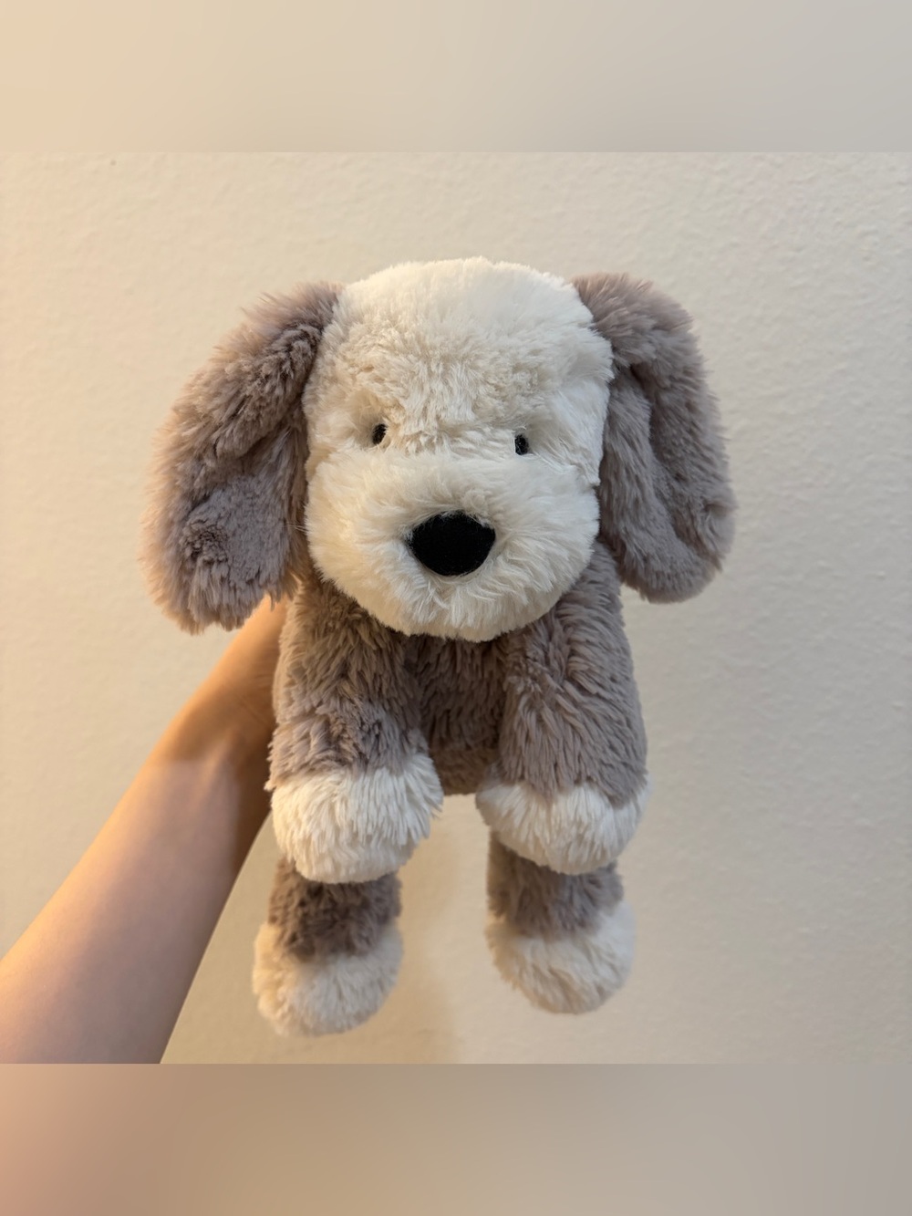 Jellycat Smudge Puppy - NWOT